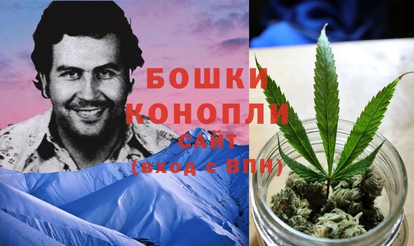 индика Богданович